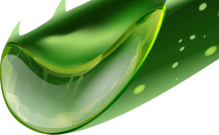 banner shape
